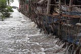 Cyclone Yaas leaves behind a trail of destruction in India and Bangladesh