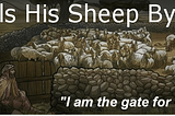 He Calls His Sheep By Name