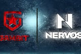 Gambit Esports and Nervos Network launch NFT series