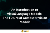 AN INTRODUCTION TO VISUAL LANGUAGE MODELS: THE FUTURE OF COMPUTER VISION MODELS