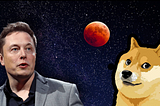 Elon Musk Shares A New Dogecoin (DOGE)