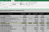 Protection Function in Microsoft Excel