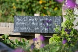 MENTAL HEALTH GARDENING: HOW GARDENING CAN IMPROVE YOUR MENTAL WELLBEING