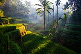 Navigating Bali’s Best Attractions with the Perfect Tour Guide