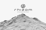 Rhizom and Ethereum: competition, overlap or synergy?