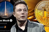 What’s Next For Elon and Cryptocurrency?