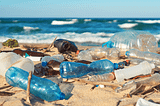 On the mission to end plastic pollution