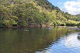 Canoeing In Sydney: 8 Easy Paddling Routes For Beginners — NSW Footsteps