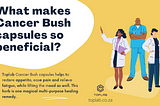 What makes Cancer Bush so beneficial?