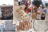 Uses of cassava starch processing byproducts
