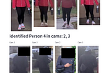Navigating the Maze: Person Re-Identification Across Multiple Cameras with Deep Metric Learning