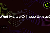 What Makes Imbue So Unique?