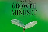 Amal totkay illuminating the “GROWTH MINDSET”: