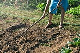 Soil Preparation Methods | How to prepare a garden plot