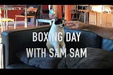 Happy Boxing Day from Sam Sam!