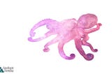Octopus Dream — Meaning and Symbolism — Ancient Awake