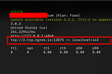 Using Netcat with Ngrok IP for Receiving Reverse Shell
