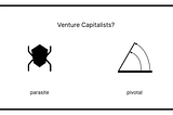 Venture Capital: A Means to an End or an Essential Partner?