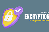 What is Encryption: A Beginner’s Guide to Security