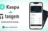 Storing Kaspa on a Tangem