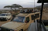 Safari Car-Hire
