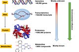 Metabolic Mind: How Metabolites Affect the Brain