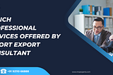 Enrich professional services offered by Import export consultant