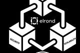 The Vision & Addressable Market Opportunities for the Elrond Network is Vast