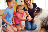 How To Choose The Best Pet Sitting Services In Tampa To Take Care