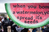 Photograph of a group of people at a Palestine protest with large sign in the shape of a slice of watermelon that reads “when you bomb a watermelon, you spread its seeds.”