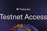 Thala Testnet Guide