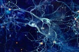 Evidence of Quantum Computations in the Human Brain