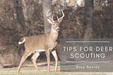 Tips for Deer Scouting | Brox Baxley | Hunting