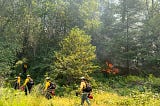 Audubon Canyon Ranch awarded $2M for prescribed fire workforce development