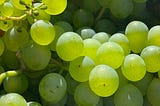 Seedless: they sterilised the seed, now they are coming for our knowledge