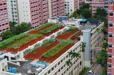 The roof of a multi-storey car park is covered in plants.