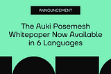 The Auki Posemesh Whitepaper Now Available in Six Languages