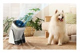 Ultimate Air Purifier for Pet Hair Removal! Pet-Proof Your Air