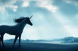 Chasing Unicorns — Building a Digital Talent Platform