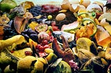 Recycling Food Waste into Renewable Electricity and Bio-Gas