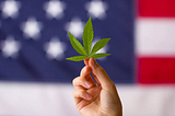 Is America being made to legalize cannabis?