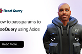 How to pass parameters to useQuery using Axios