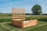 Where to Put Your Raised Beds? Choose the Ideal Location