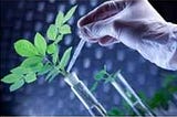 Agricultural Biotechnology Market SWOT Analysis, Key Indicators, Forecast 2028 — Monsanto…