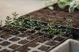 How to Prepare Seedbeds for Spring Sowing