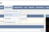 Creating Custom Center Tab in NetSuite