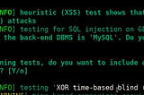 Advanced SQLMap Customization