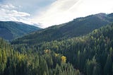 How American Forestry Can Power the U.S. Electric Revolution.