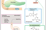 Drugs for lowering gastric acid concentration or production