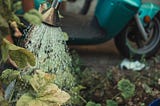 טיפוח הטבע: מדריך מקיף לשיטות השקיה יעילות לגינה שלך